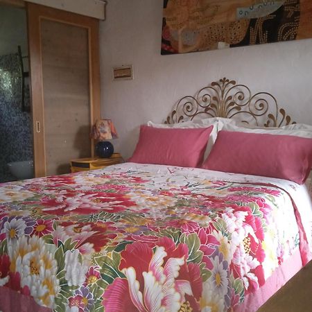 Poggio Del Sole Bed & Breakfast Bassano del Grappa Eksteriør bilde