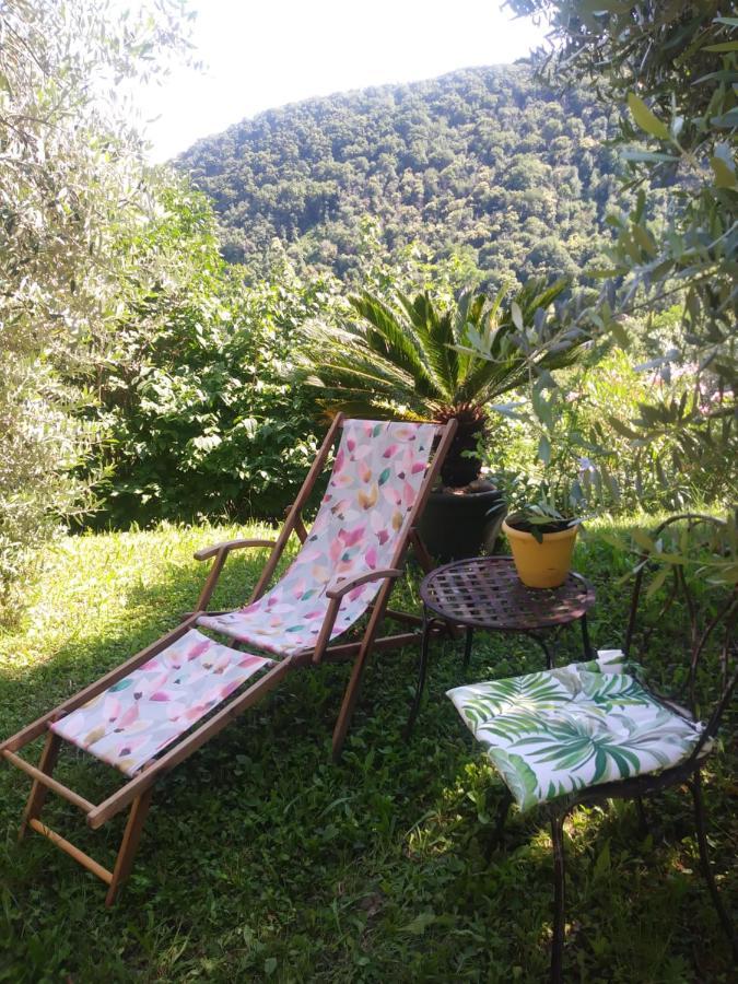 Poggio Del Sole Bed & Breakfast Bassano del Grappa Eksteriør bilde